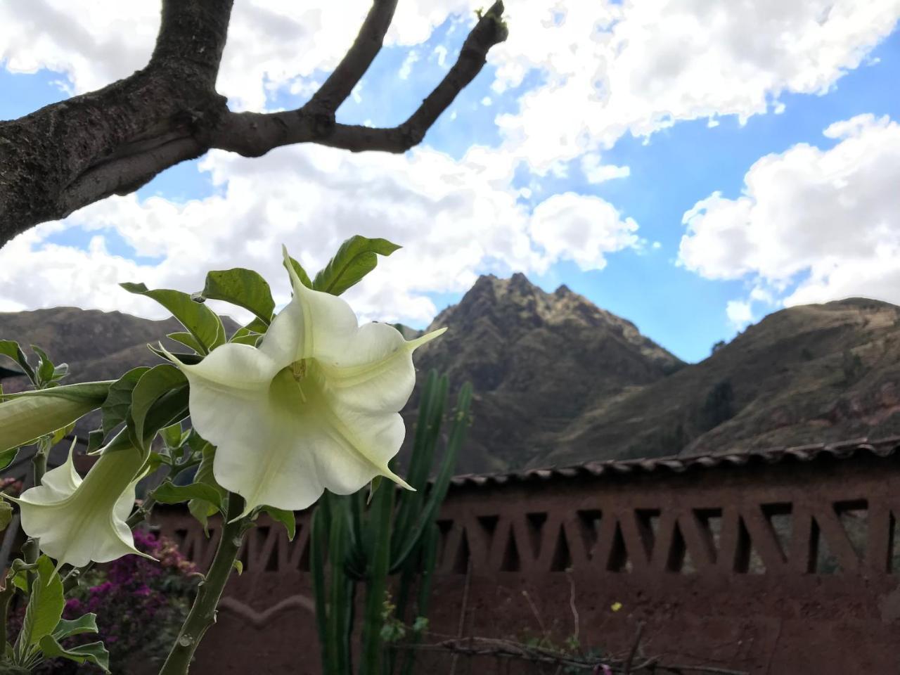 Pisac Inca Guest House المظهر الخارجي الصورة
